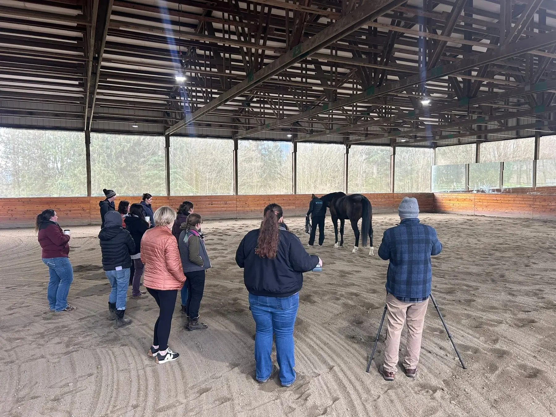 Participants observing an in-hand biomechanics demonstration during an equine workshop at Seven Hills