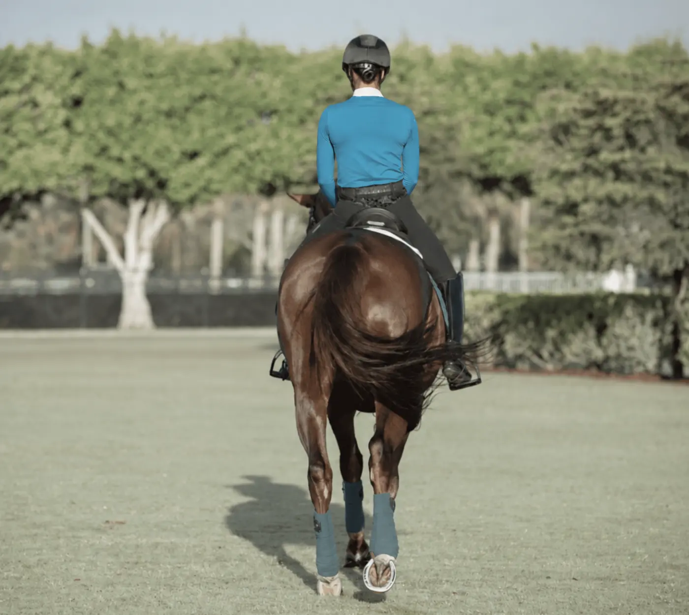 Horse and rider beginning a relaxed dressage warm-up outdoors