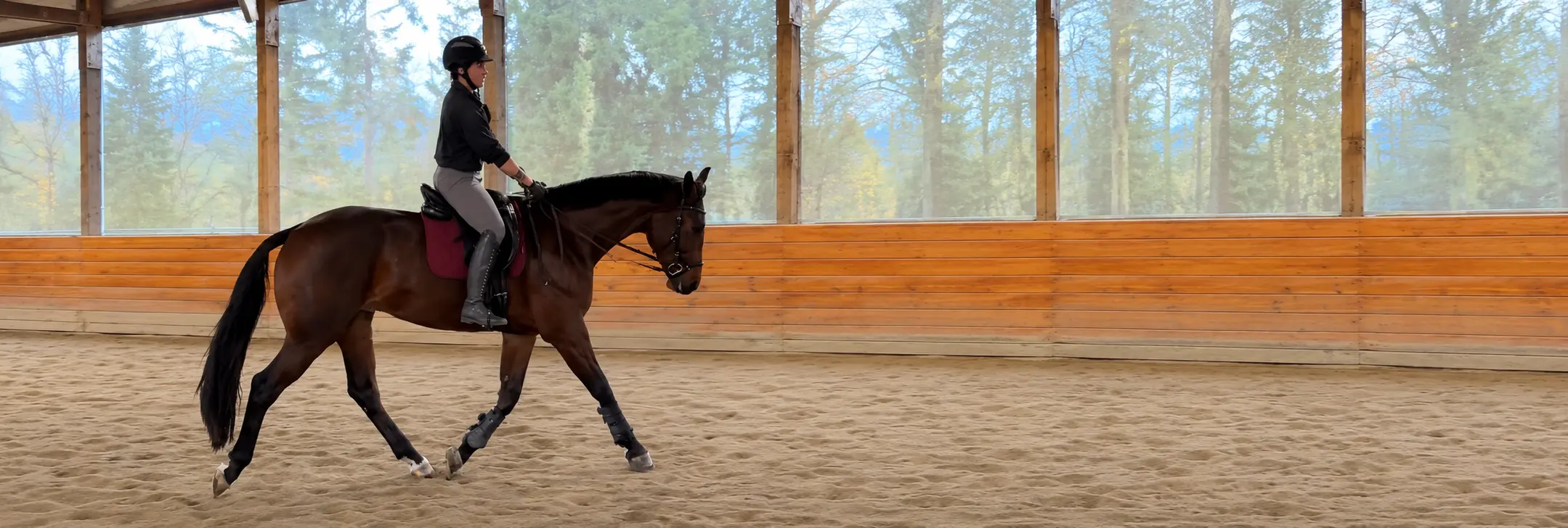 Dressage rider maintaining balance and alignment during a transition