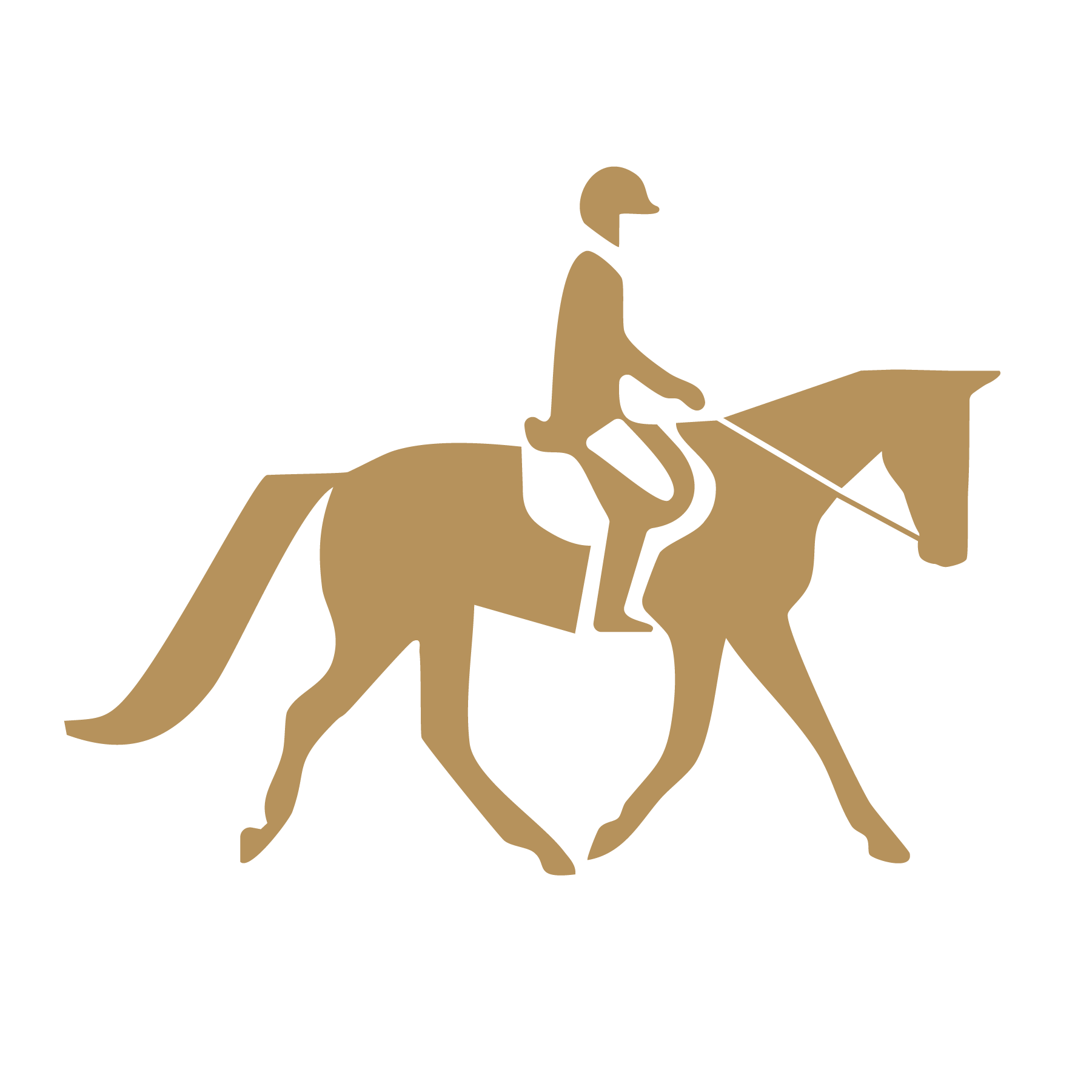 Indoor dressage arena