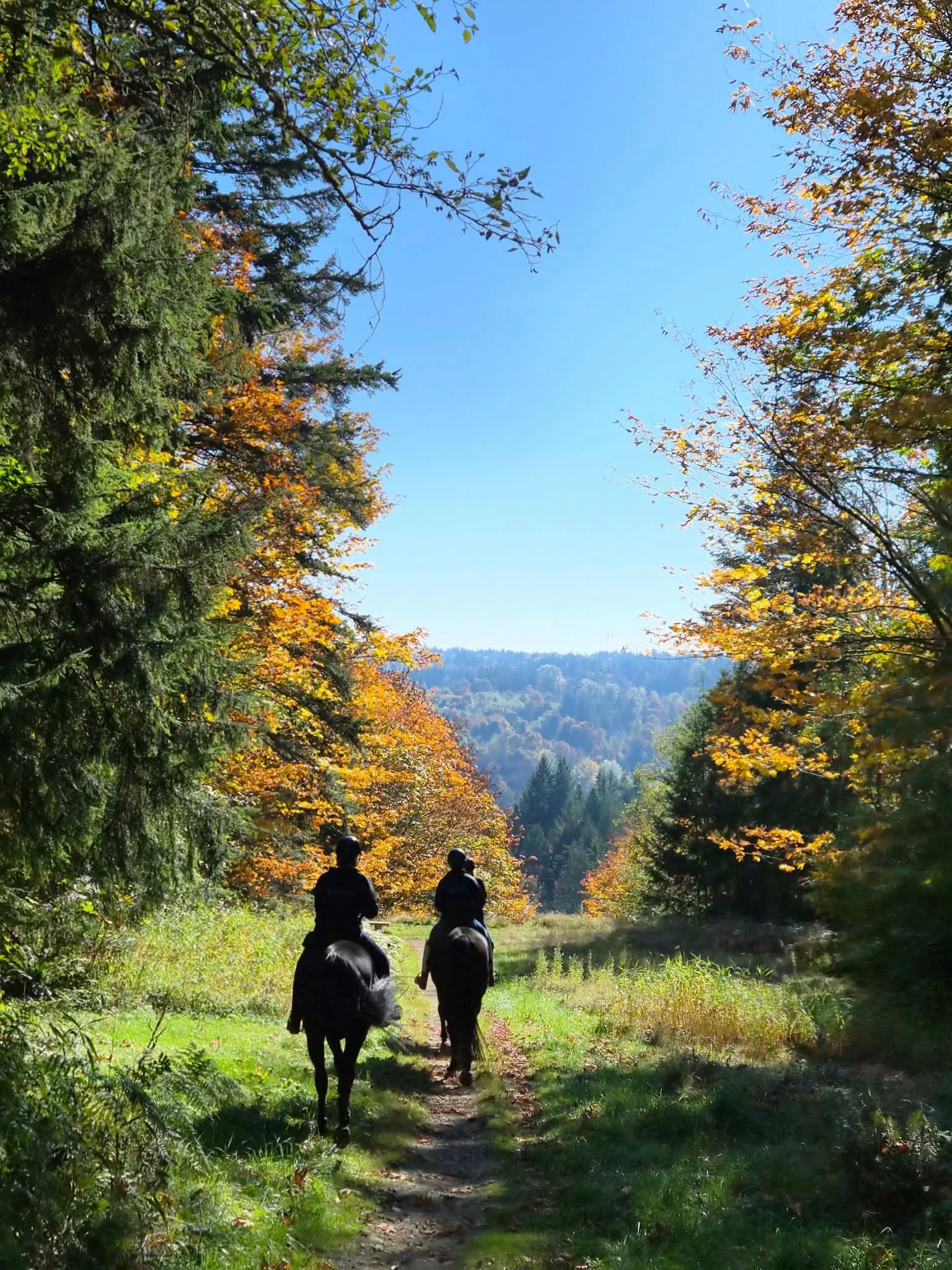 Two riders on horses following a trail through fall foliage at Lord Hill Park in Snohomish