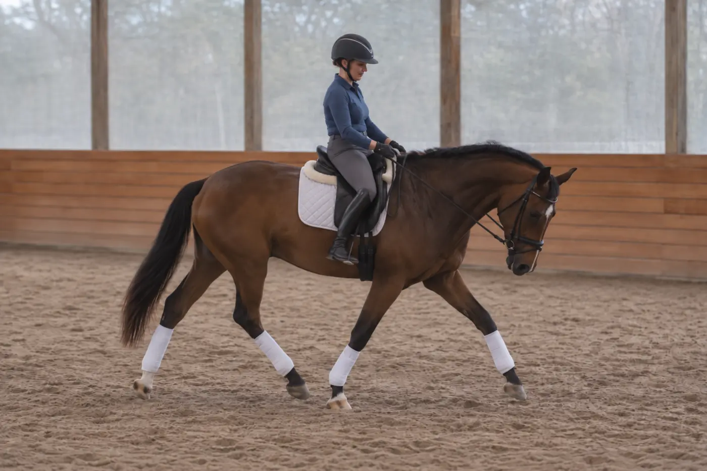 Adult amateur rider learning on an experienced dressage schoolmaster