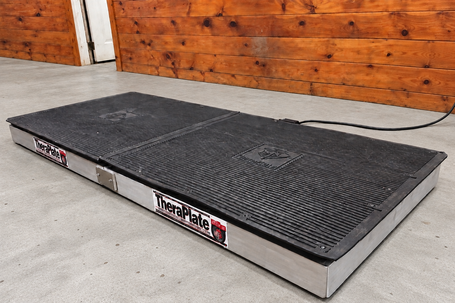 TheraPlate rehabilitation platform at Seven Hills Training