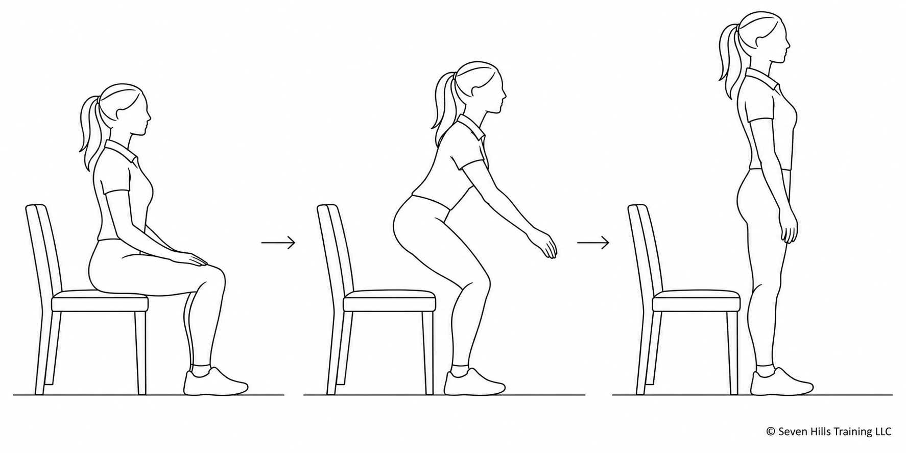 Line drawing of a female rider demonstrating slow chair stands