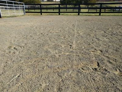 New all-weather gravel paddock with fencing at Seven Hills Training in Monroe, Washington