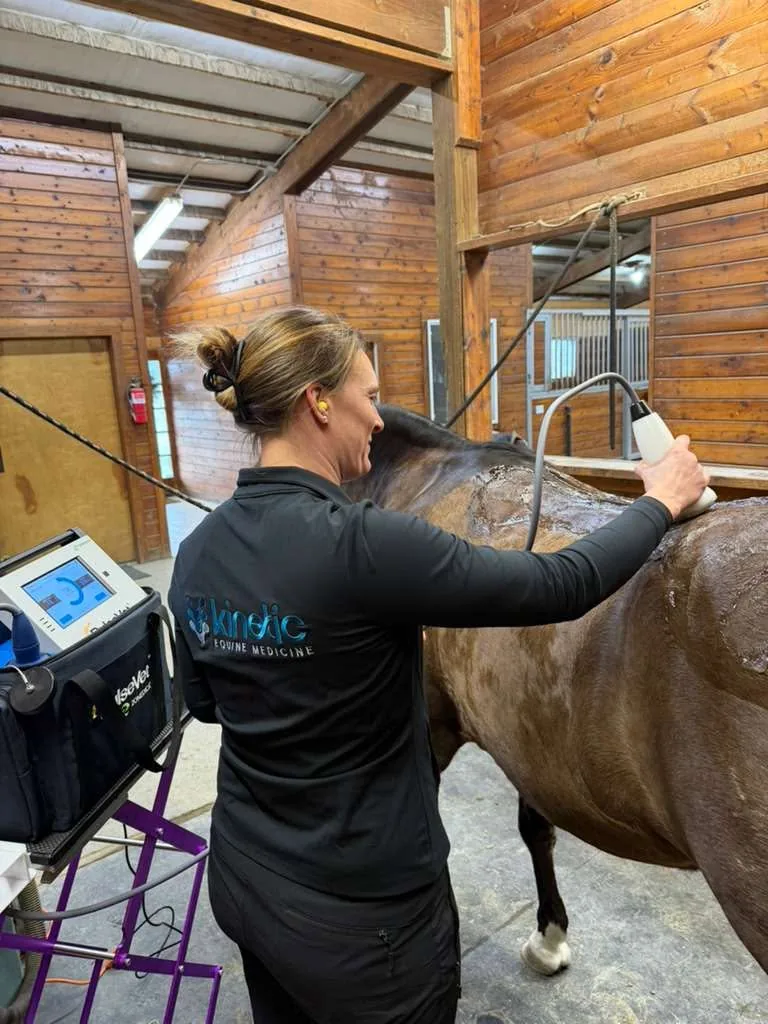 Kinetic Equine Medicine practitioner treating a horse at Seven Hills Training