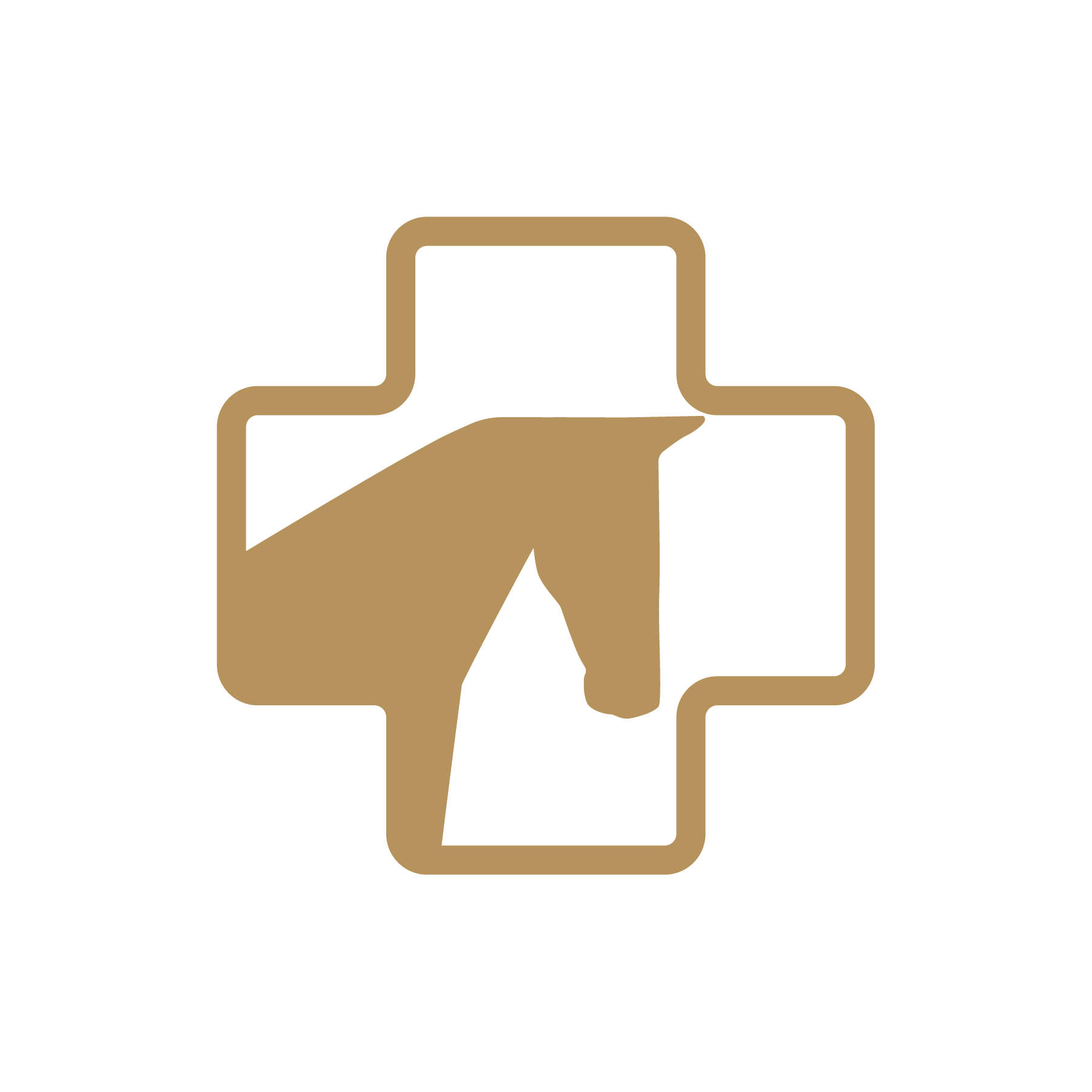 Veterinary partnership
