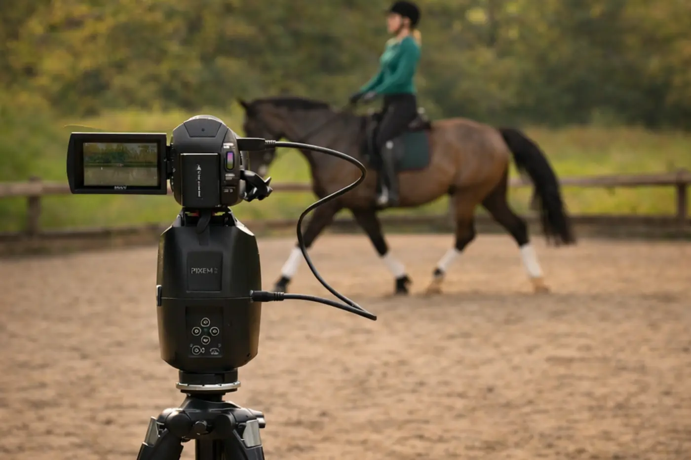 Recorded riding lesson prepared for biomechanical video review